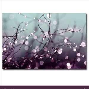 Meet your Posher, Viviana